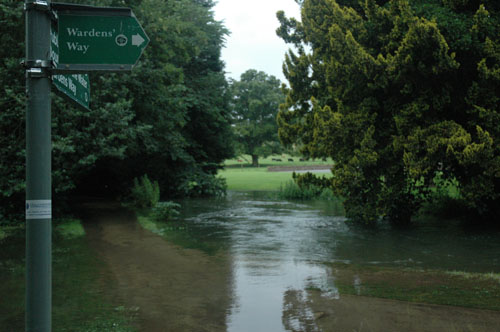 Wardensâ€™ Way Flooding