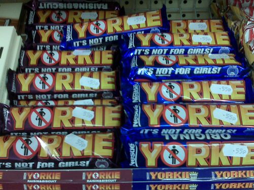 Yorkie Display